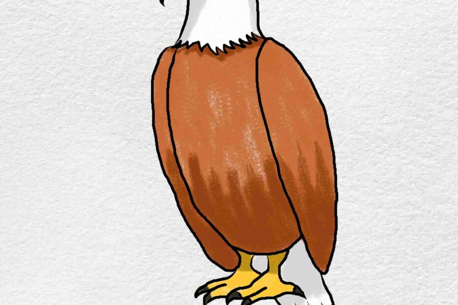 How To Draw An Eagle Easy HelloArtsy