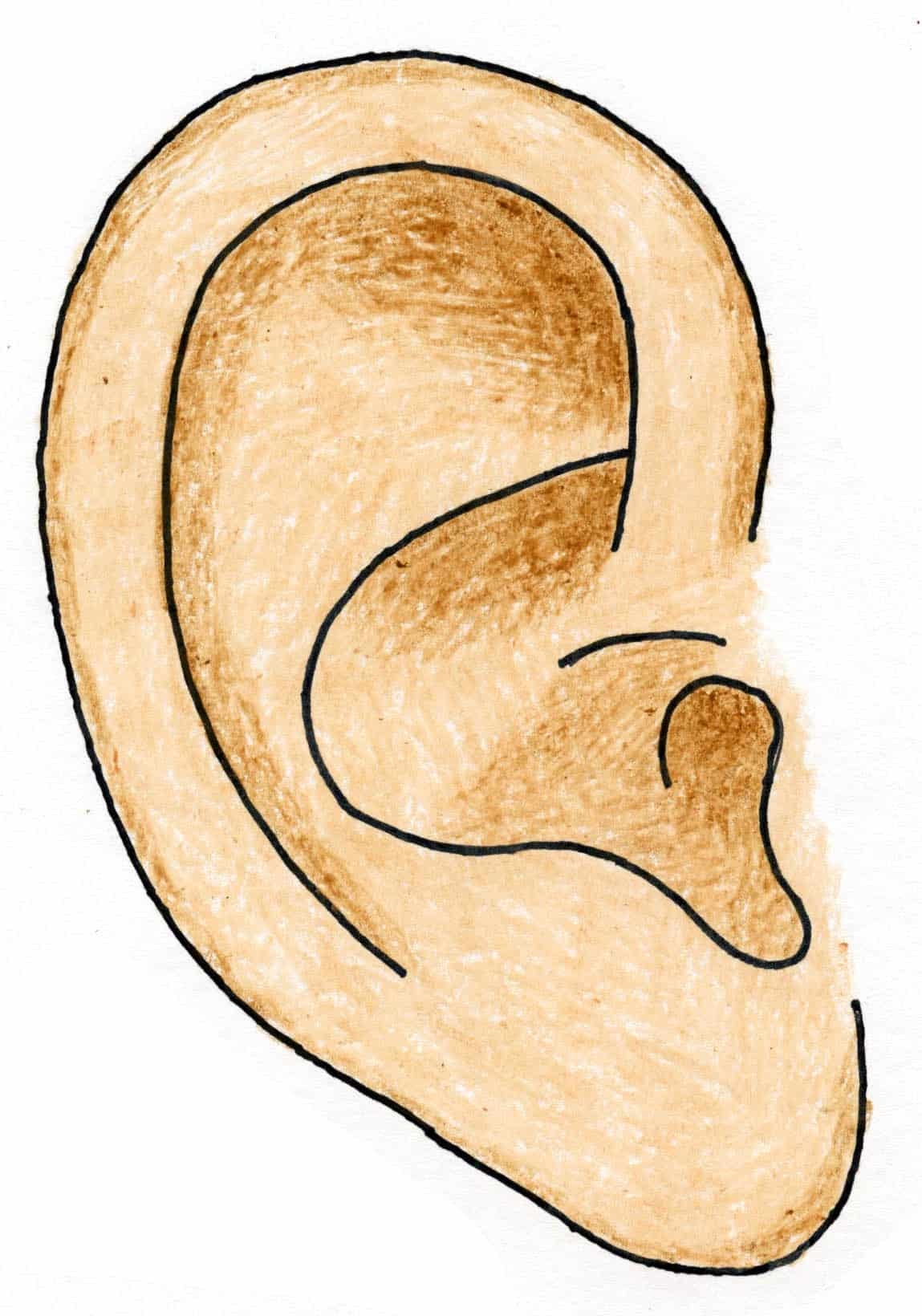 How To Draw An Ear Easy Step by Step Art Lesson