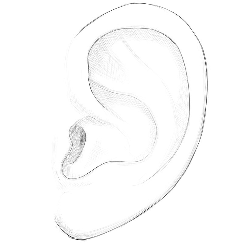 How To Draw An Ear