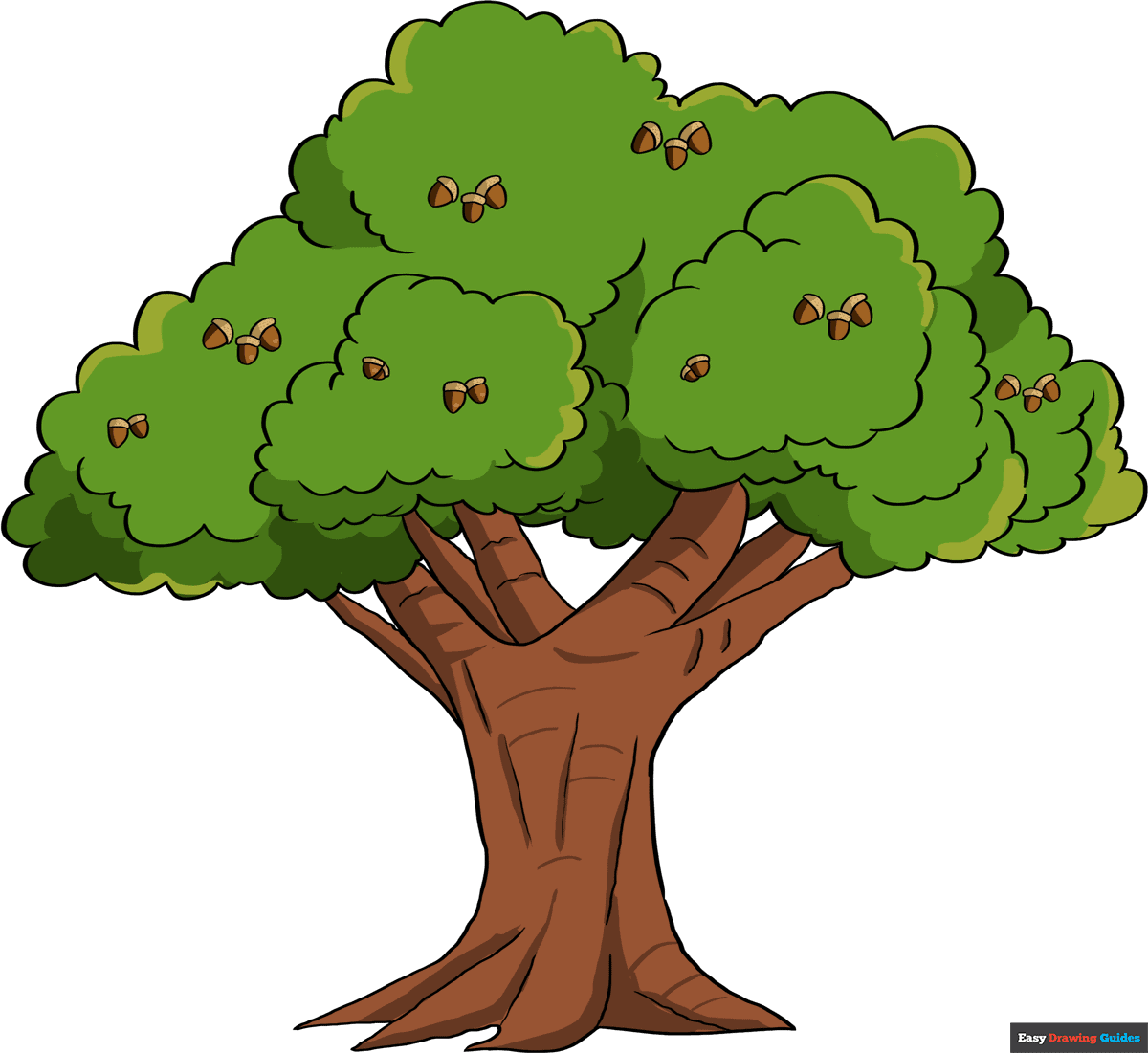 How To Draw An Oak Tree Really Easy Drawing Tutorial