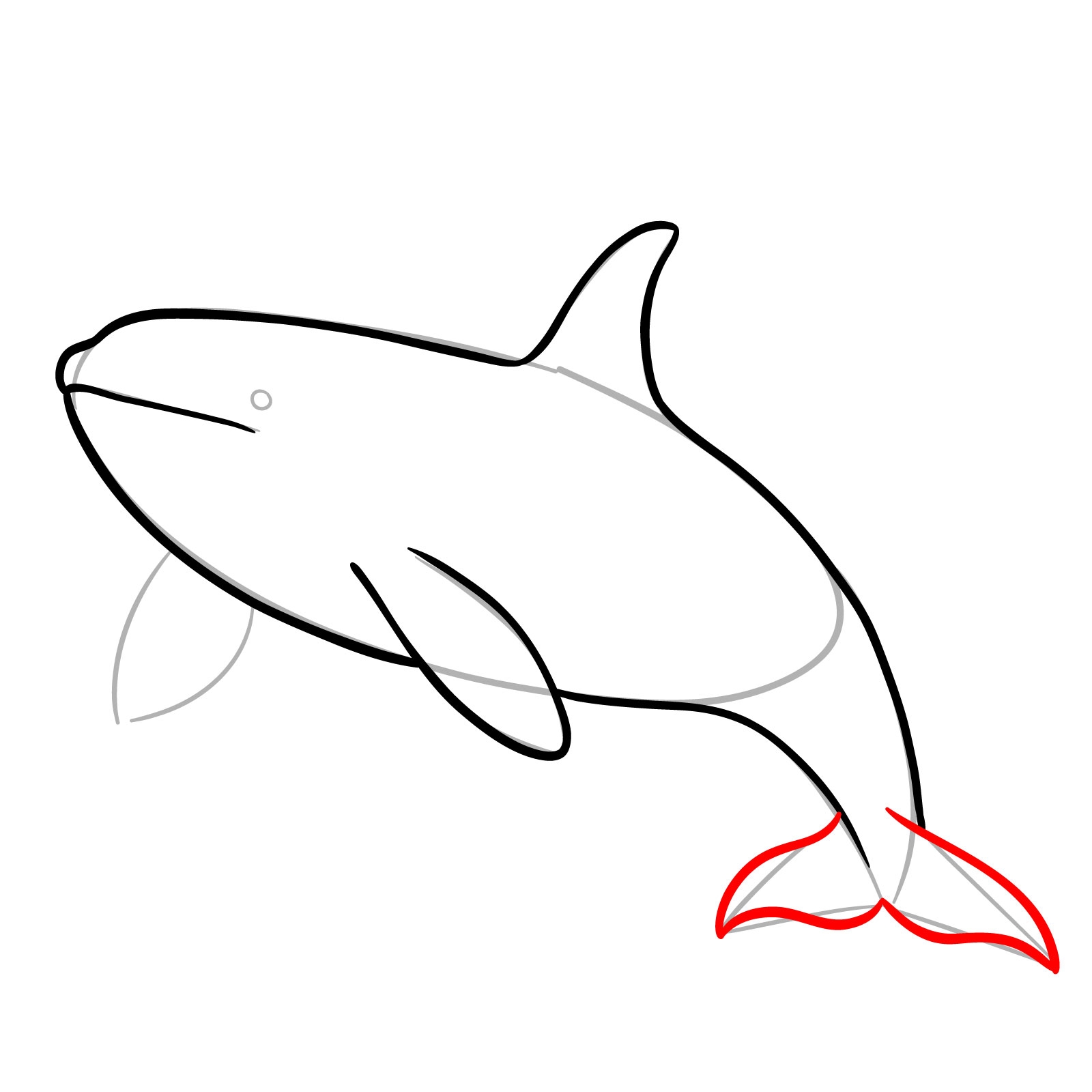 How To Draw An Orca Easy Killer Whale Drawing Tutorial