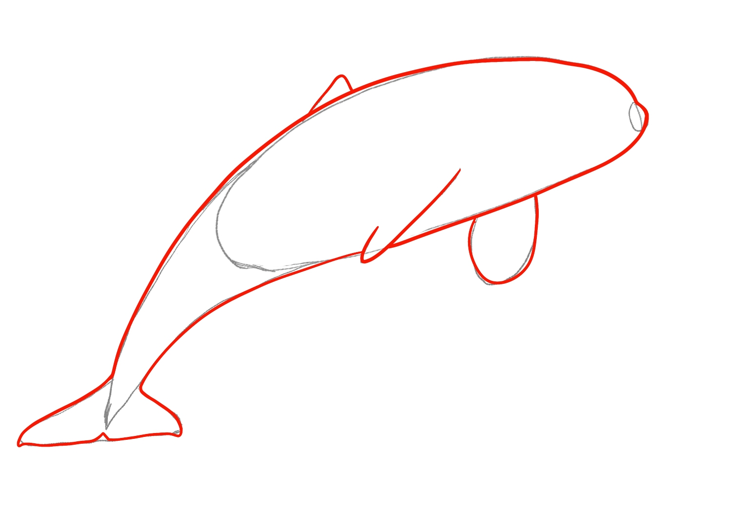 draw orca