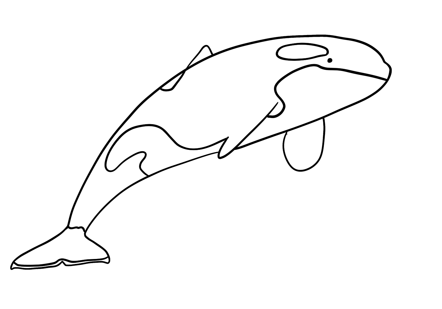 How To Draw An Orca Step by Step tutorial Design Bundles