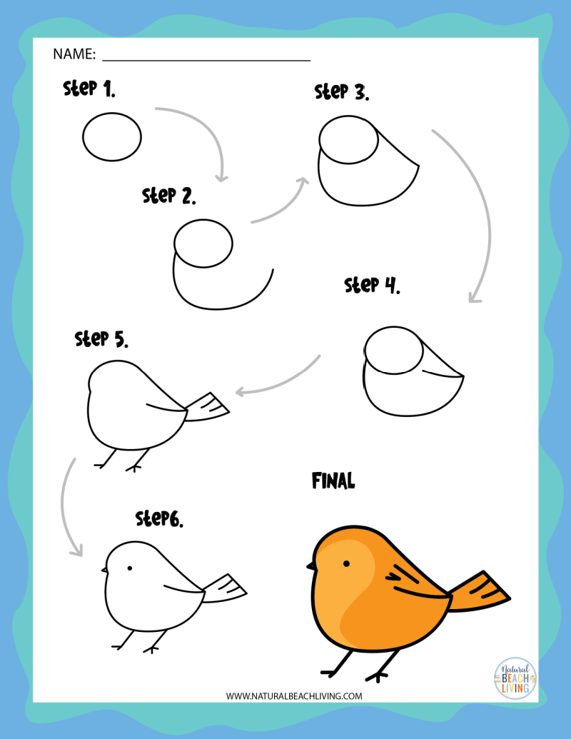 learn how to draw
