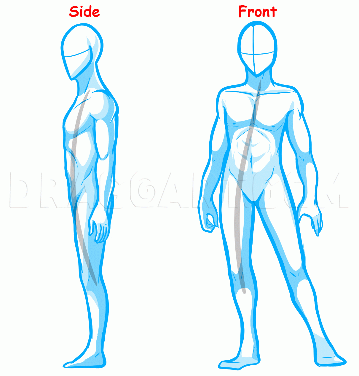 How To Draw Anime Bodies Draw Anime Body Figures Drawing Step 
