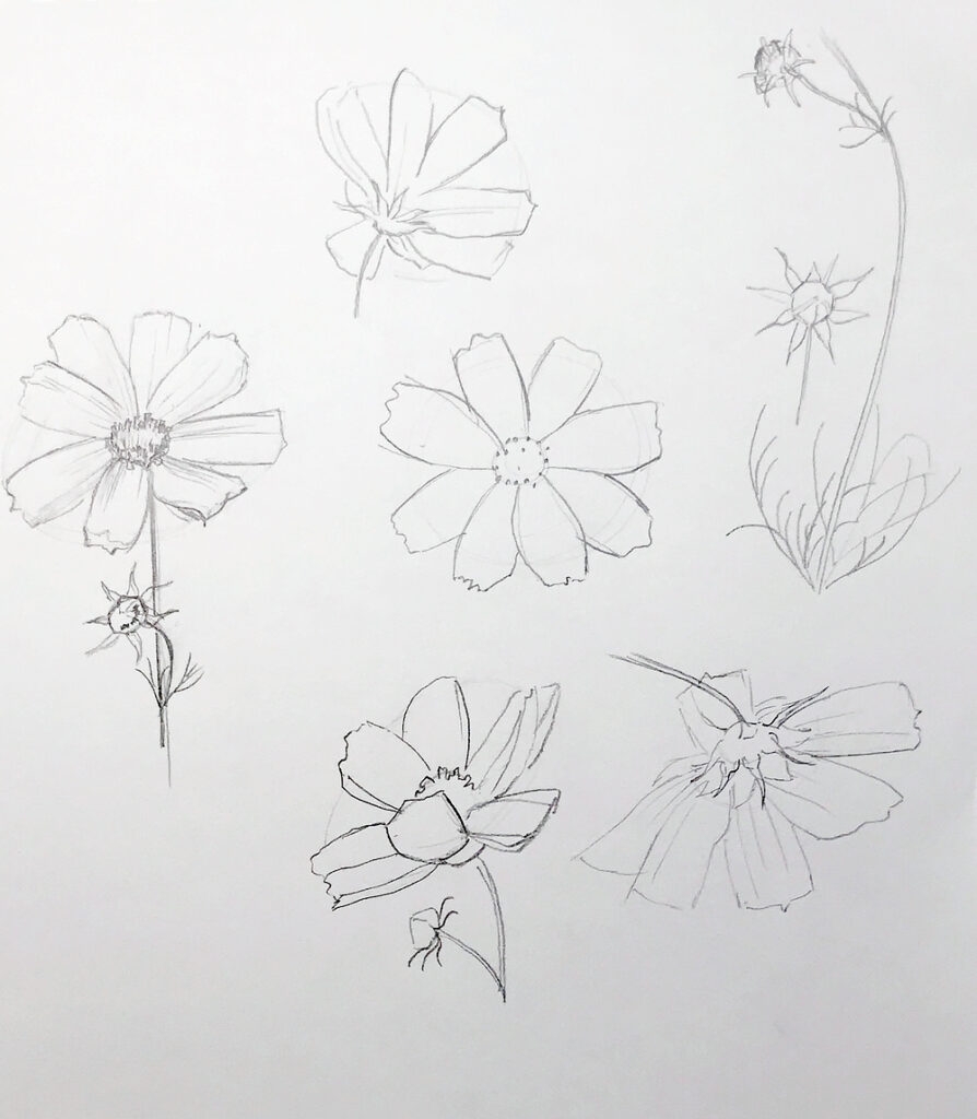 How To Draw Anything Learn Sketching For Beginners Julia 