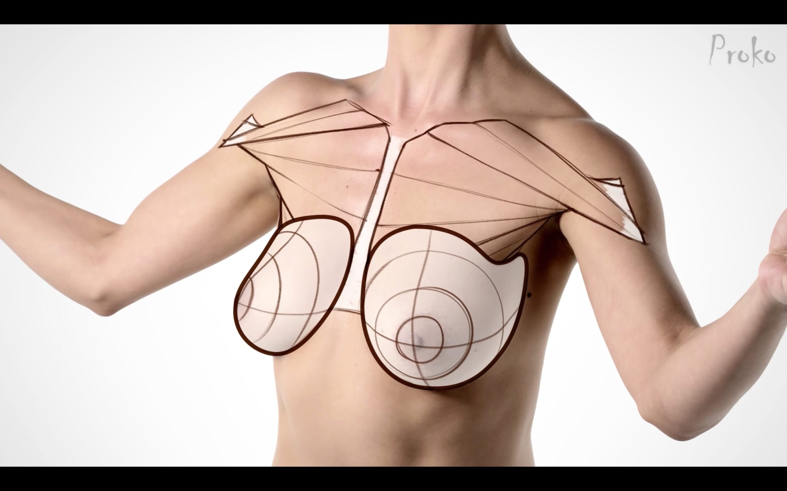 How To Draw Breasts Form U0026 Motion