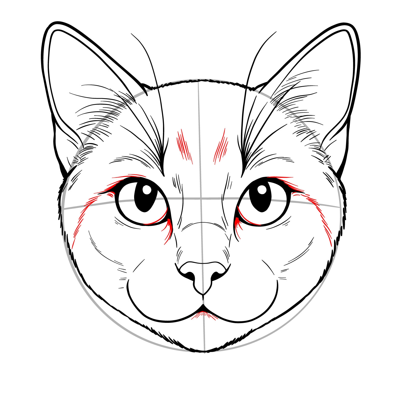 how to draw a realistic cat