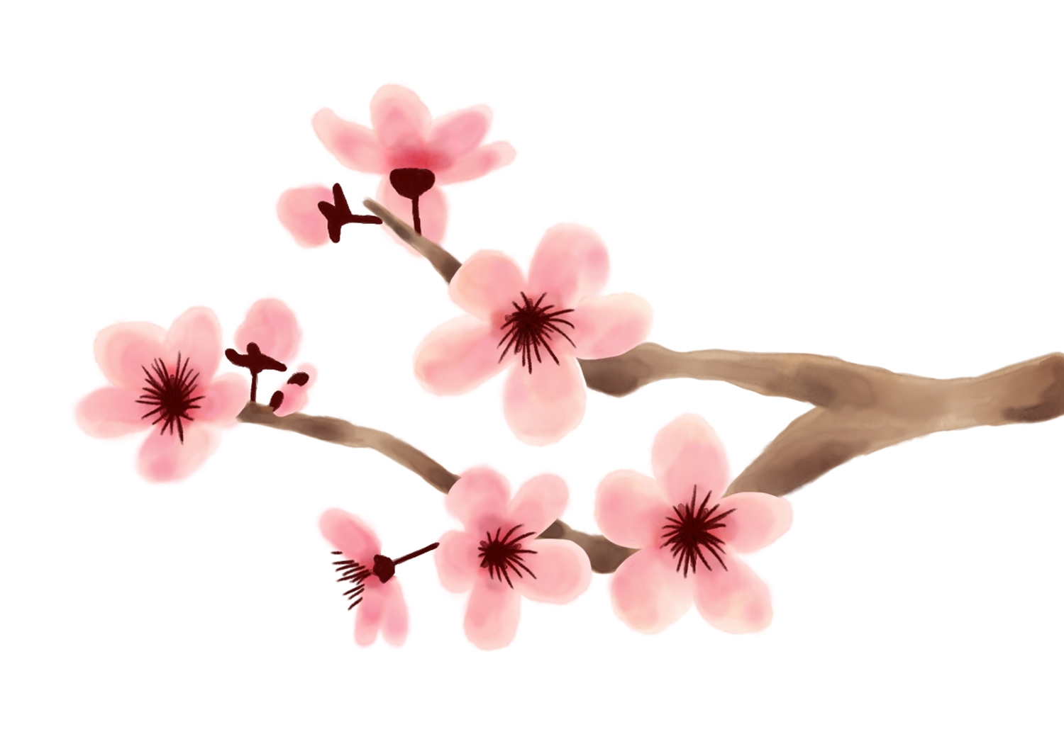 How To Draw Cherry Blossoms Design School