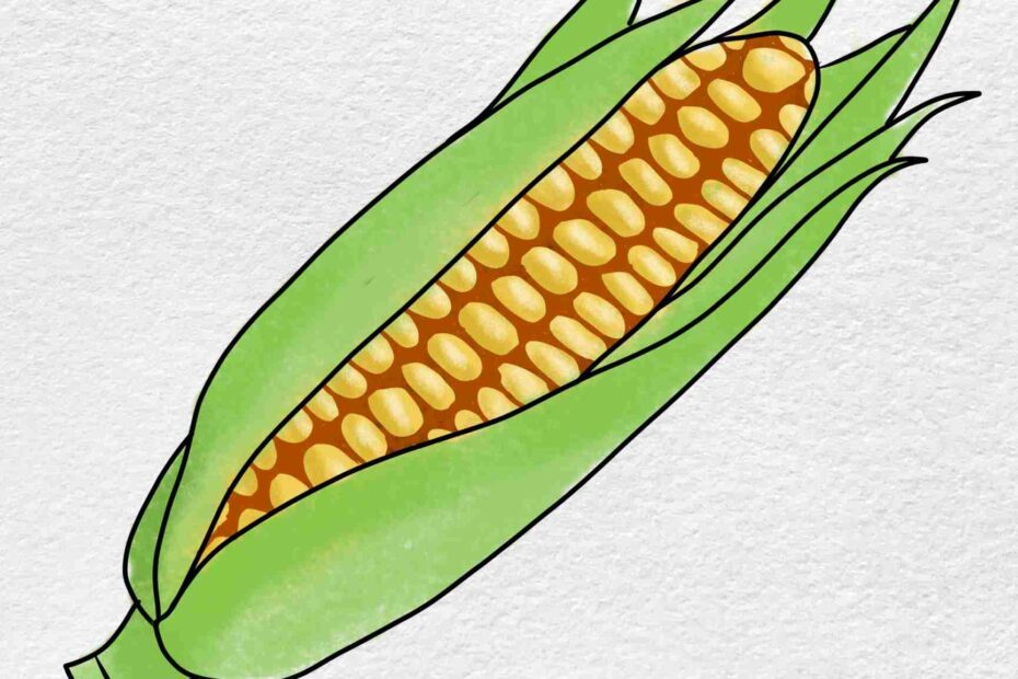 How To Draw Corn HelloArtsy