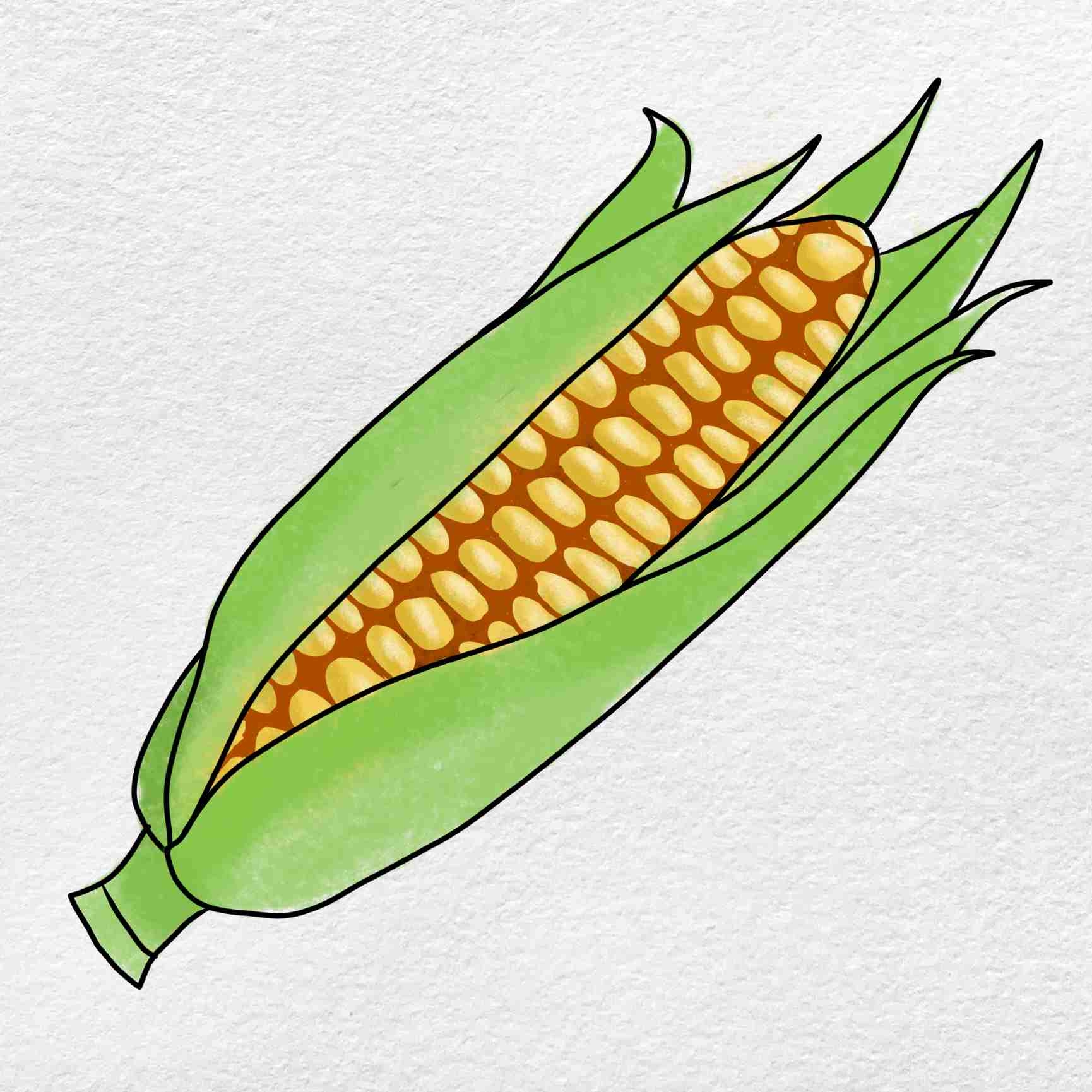 How To Draw Corn HelloArtsy