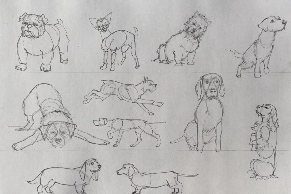 How To Draw Dogs In 4 Easy Steps Emily s Notebook