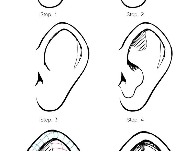 How To Draw Ears JeyRam Drawing Tutorials
