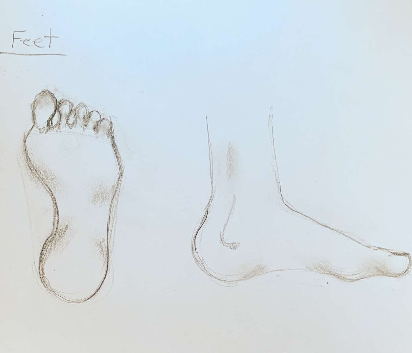 How To Draw Feet From Bottom U0026 Side Basicdraw