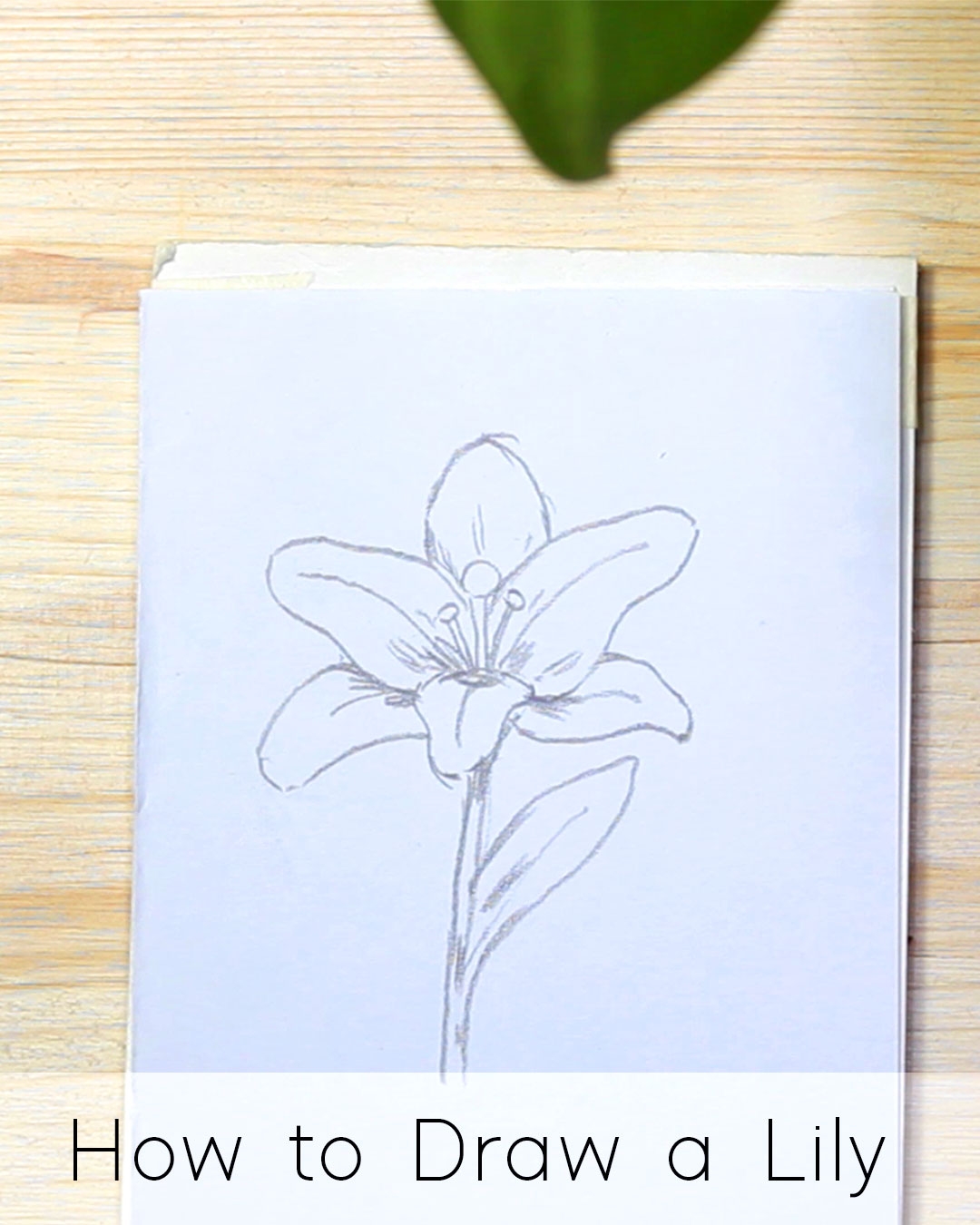 How To Draw Flowers Step By Step Tutorials For Beginners JeyRam Drawing Tutorials