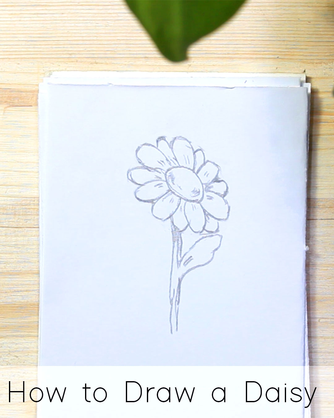 How To Draw Flowers Step By Step Tutorials For Beginners JeyRam 