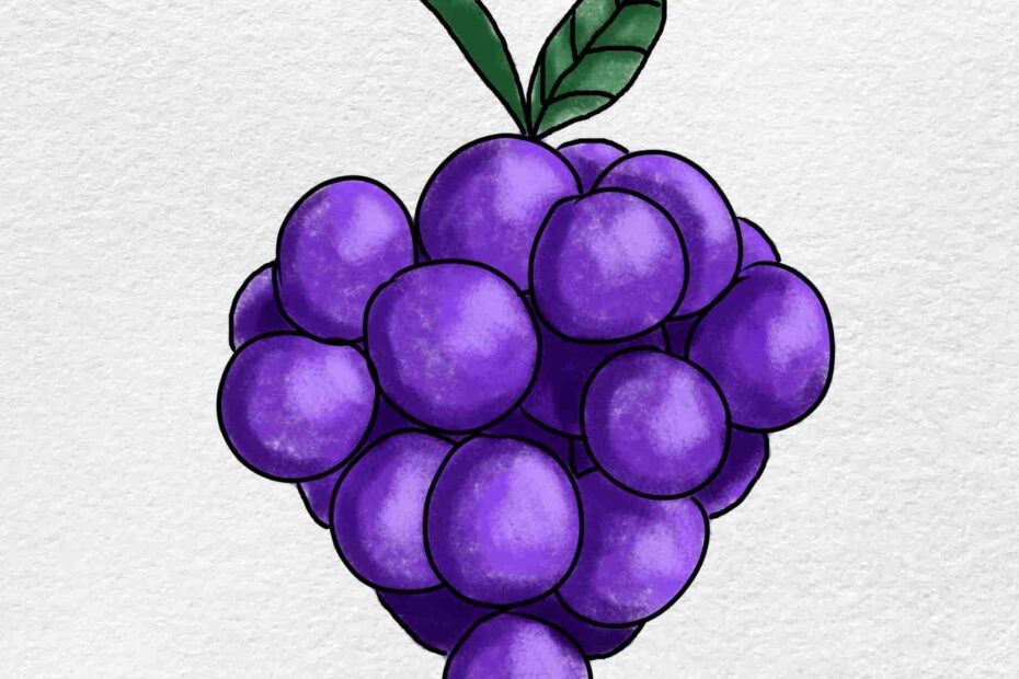 How To Draw Grapes HelloArtsy