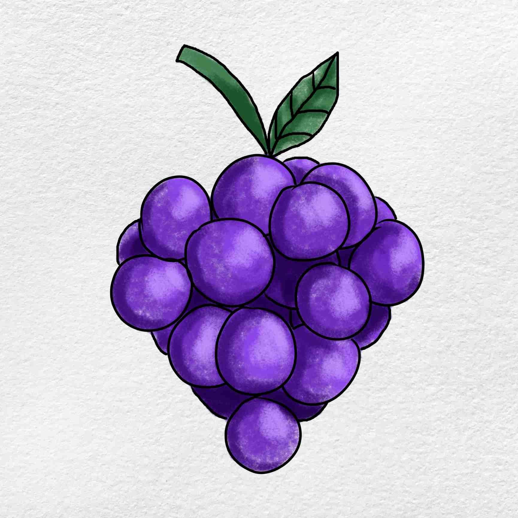 How To Draw Grapes HelloArtsy