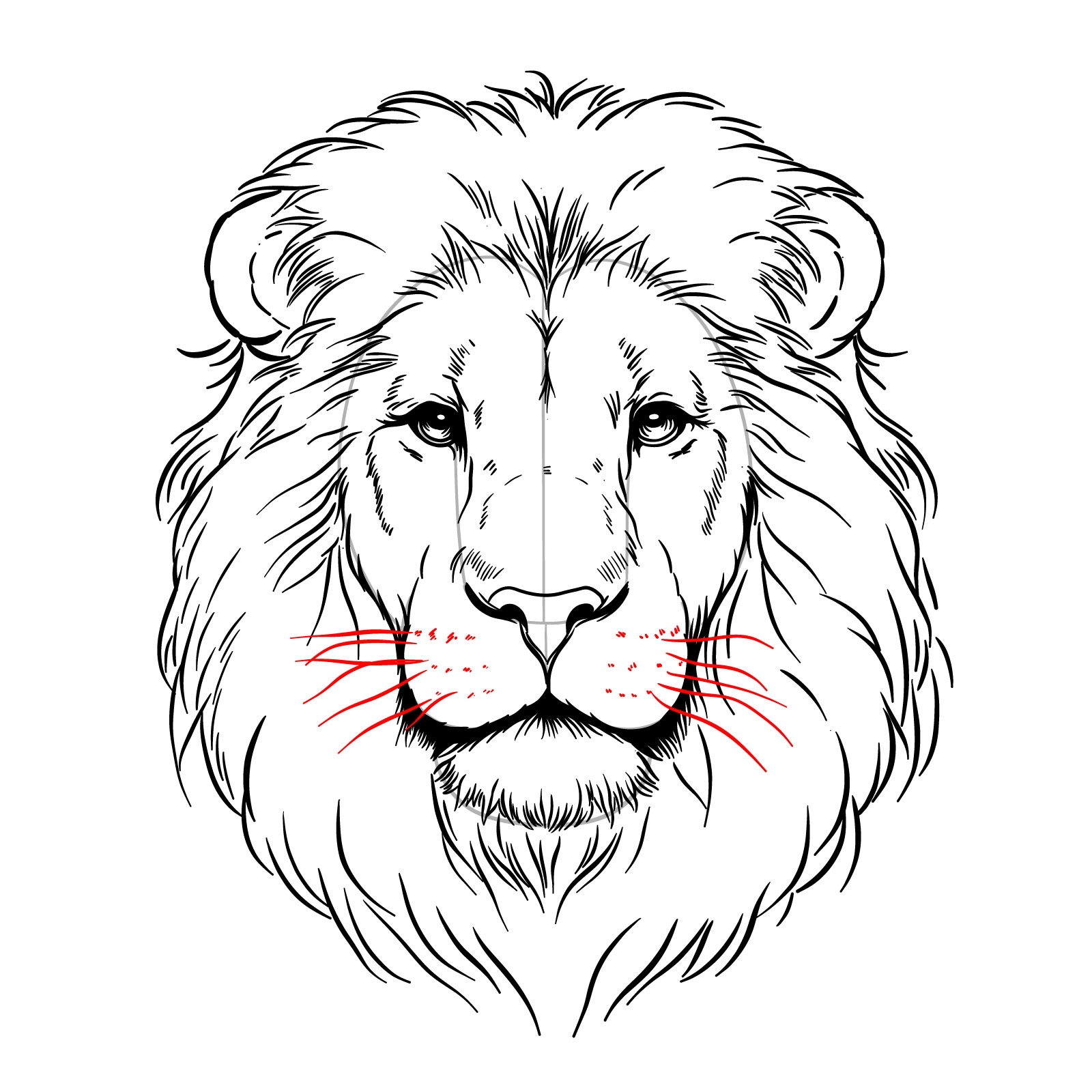 How To Draw Lions In Different Poses 14 Drawing Guides In 1