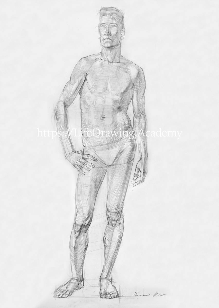 How To Draw Male Body Life Drawing Academy