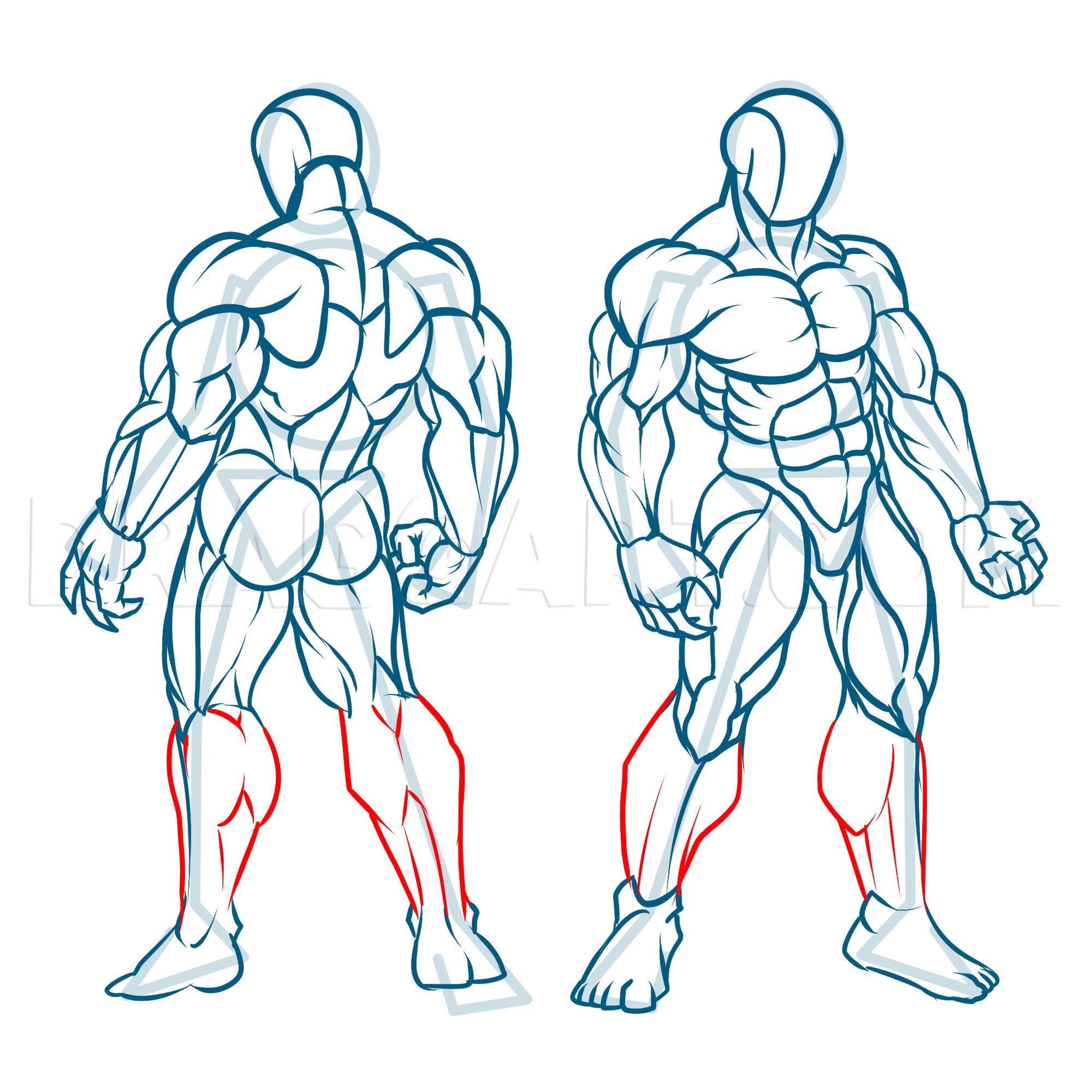 How To Draw Muscles Drawing Step By Step By KingTutorial DragoArt