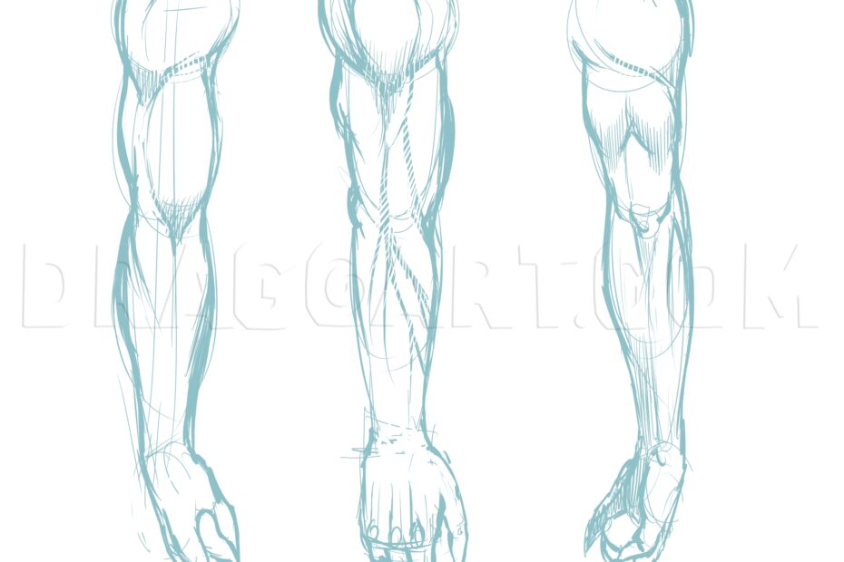 How To Draw Muscles Drawing Step By Step By KingTutorial DragoArt