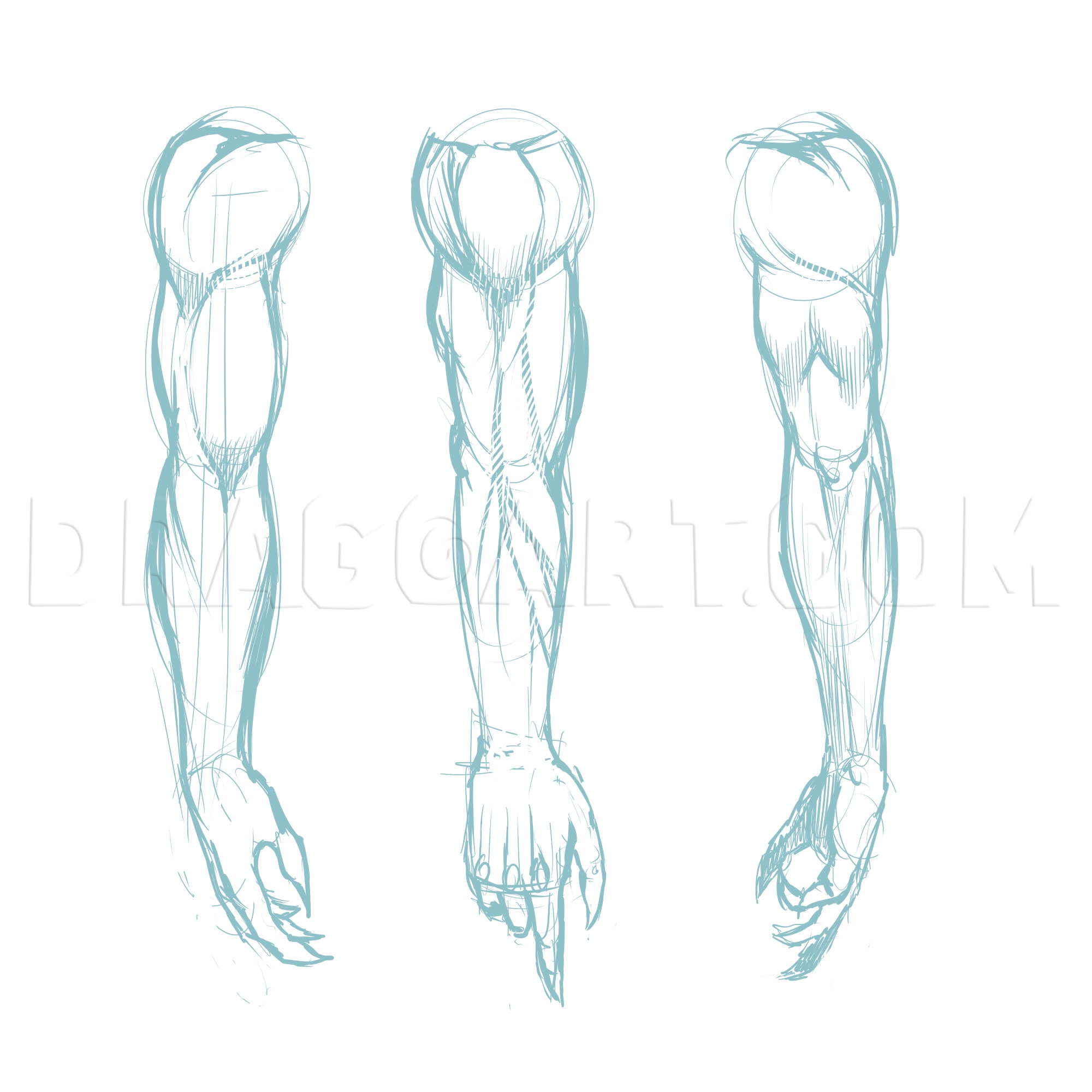 How To Draw Muscles Drawing Step By Step By KingTutorial DragoArt