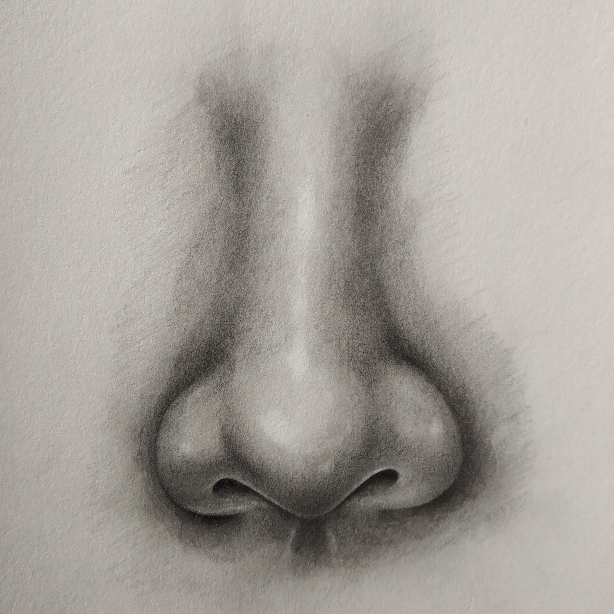 How To Draw Nose front View LOV4ARTS Easy Drawing Techniques