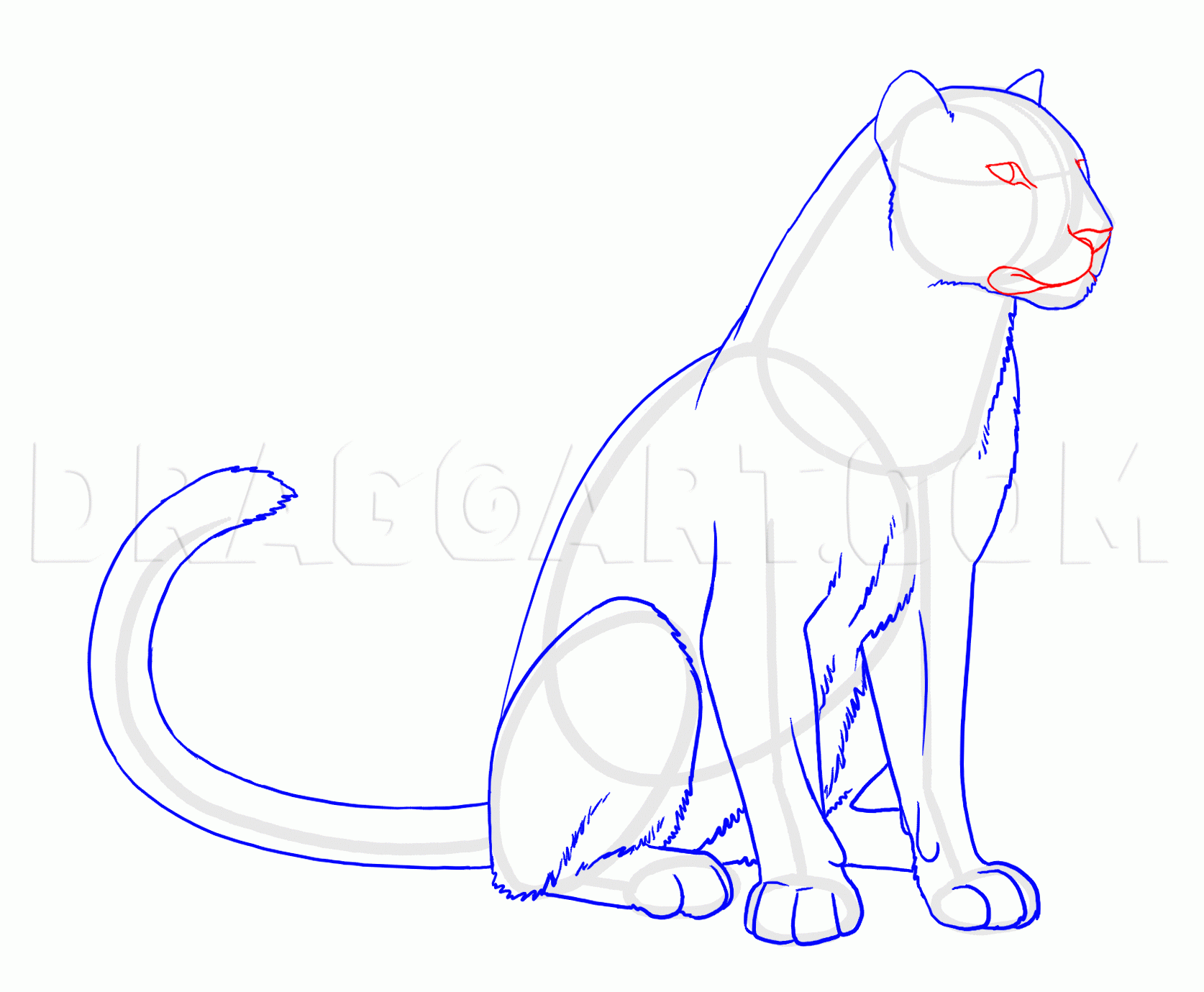 How To Draw Panthers Black Panthers Drawing Step By Step By Makangeni DragoArt