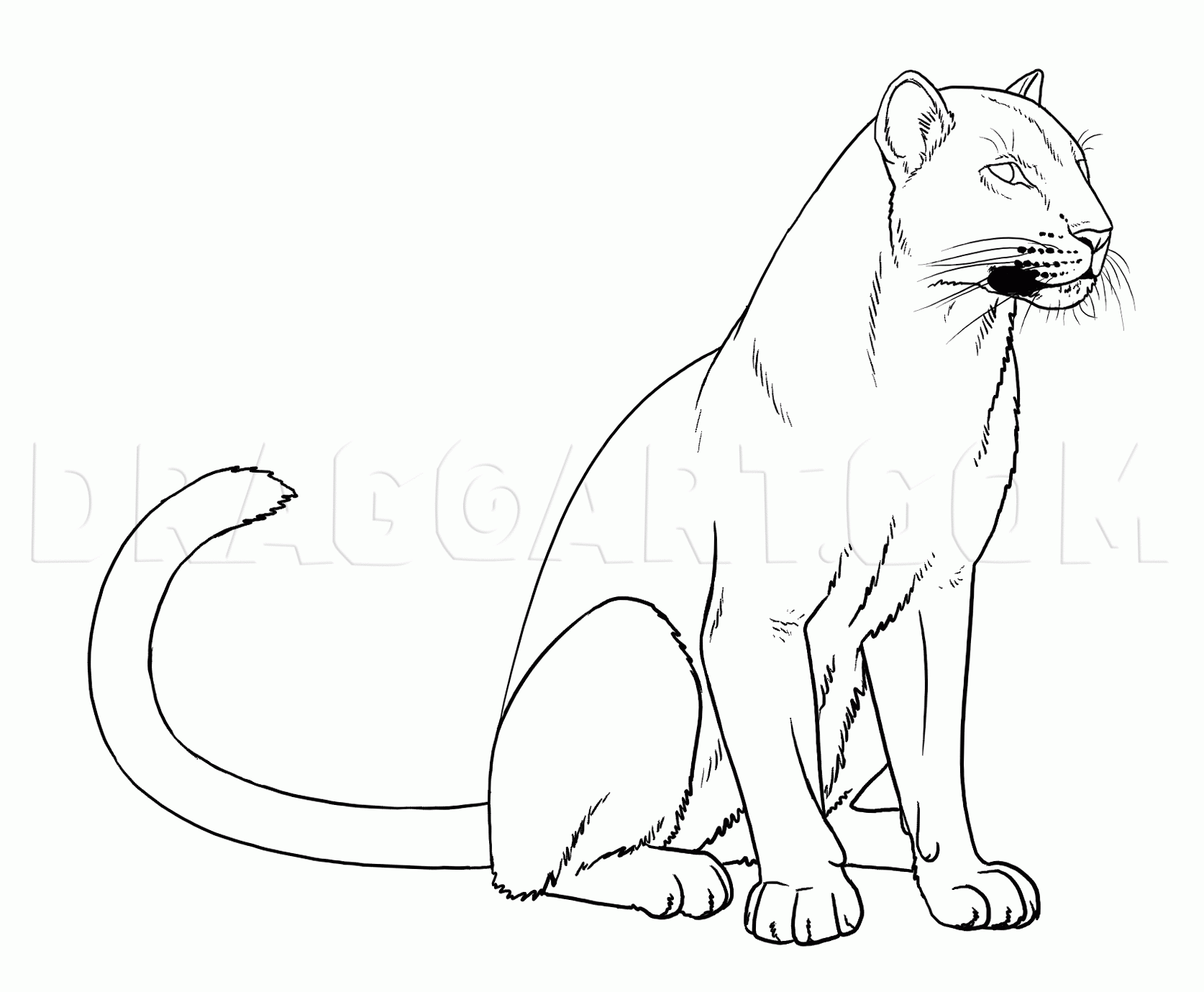 black panther drawing easy realistic