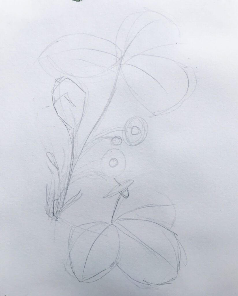 how to draw a plant