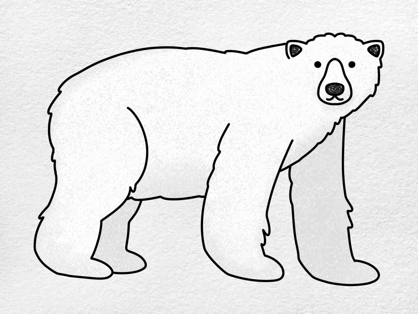 How To Draw Polar Bear HelloArtsy