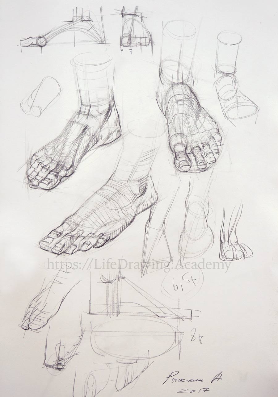 How To Draw Realistic Feet Life Drawing Academy