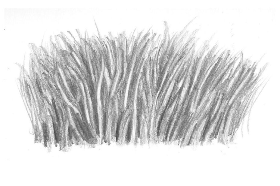 How To Draw Realistic Grass That s Ready To Be Seen Let s Draw Today