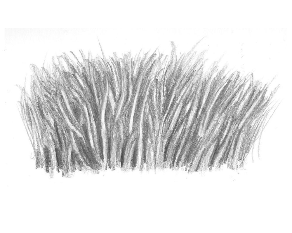 How To Draw Realistic Grass That s Ready To Be Seen Let s Draw Today