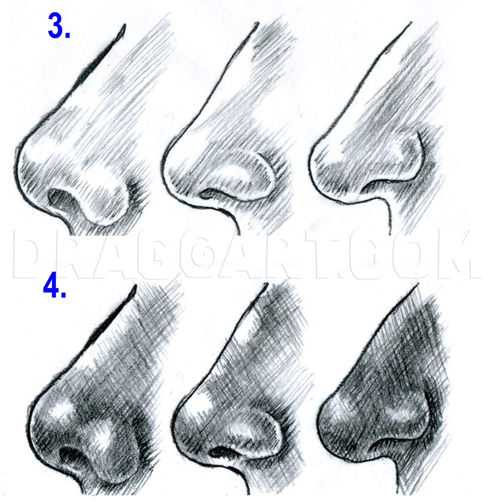 How To Draw Realistic Noses Draw Noses Drawing Step By Step By 