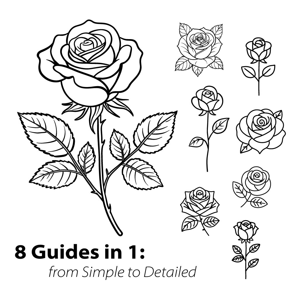 How To Draw Roses 8 Easy Step by Step Guides In 1