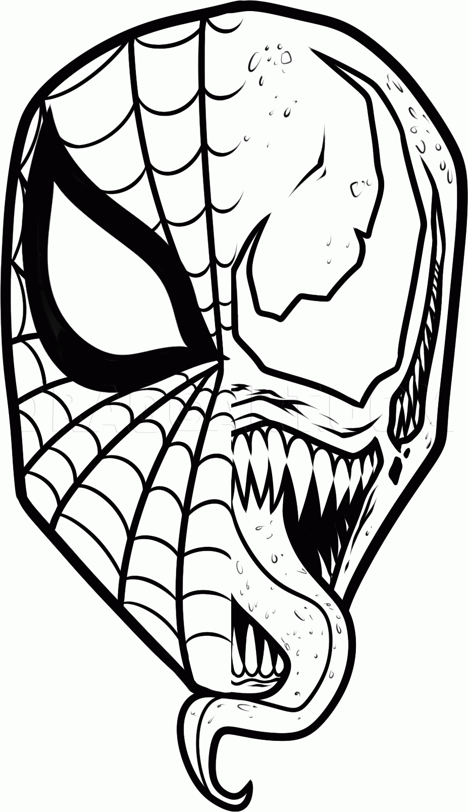 How To Draw Spiderman And Venom Drawing Step By Step By Dawn DragoArt