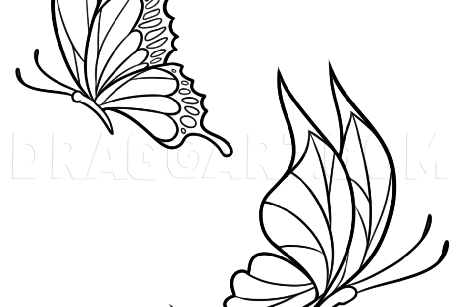 How To Draw Spring Butterflies Drawing Step By Step By Dawn DragoArt