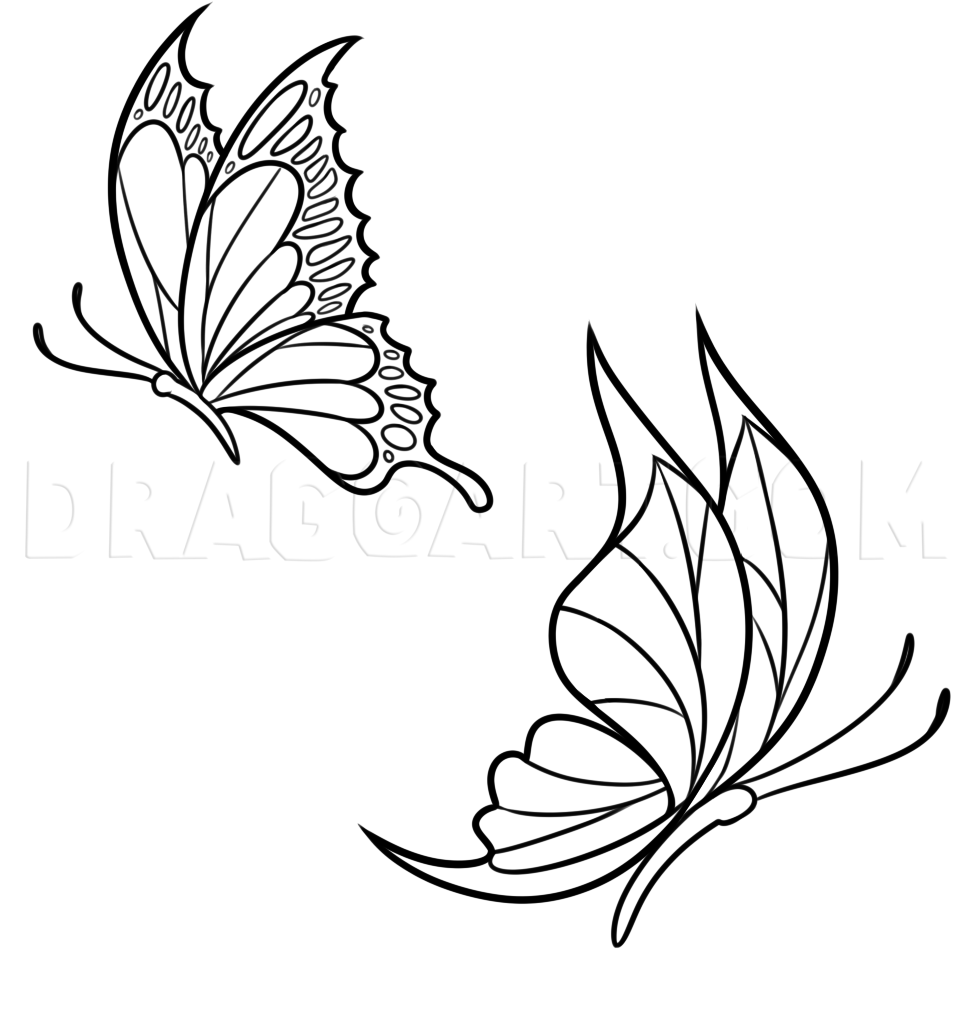 How To Draw Spring Butterflies Drawing Step By Step By Dawn DragoArt