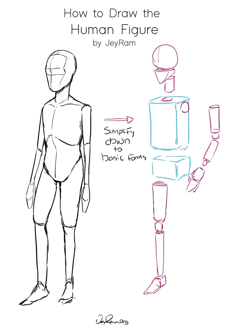 how to draw humans