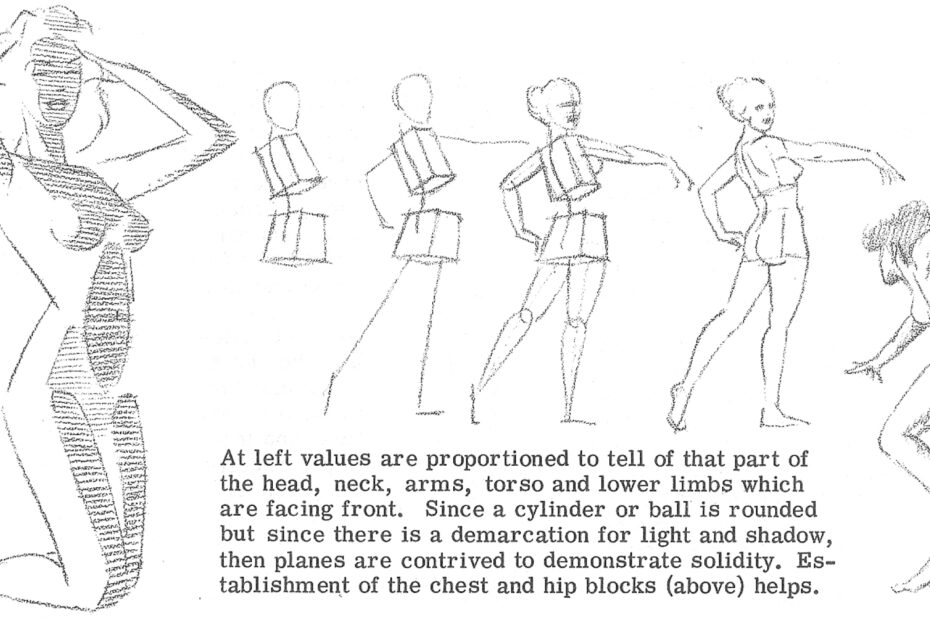 How To Draw The Human Torso And Chest Body Figure Drawing Tutorial How To Draw Step By Step Drawing Tutorials