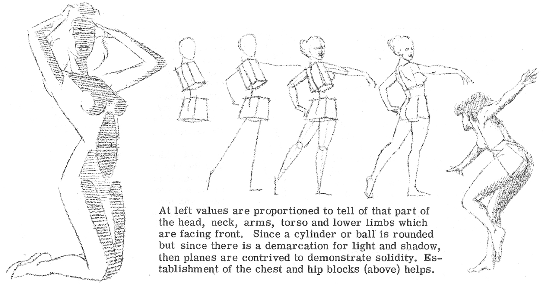 How To Draw The Human Torso And Chest Body Figure Drawing Tutorial How To Draw Step By Step Drawing Tutorials