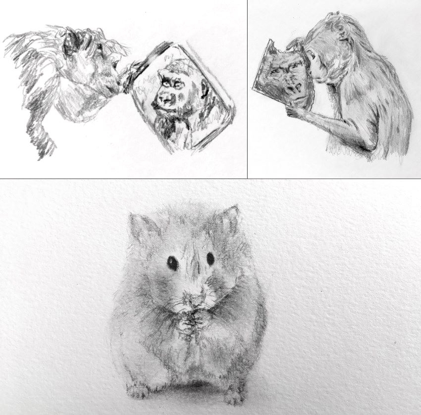 How To Draw With A Mechanical Pencil Ran Art Blog