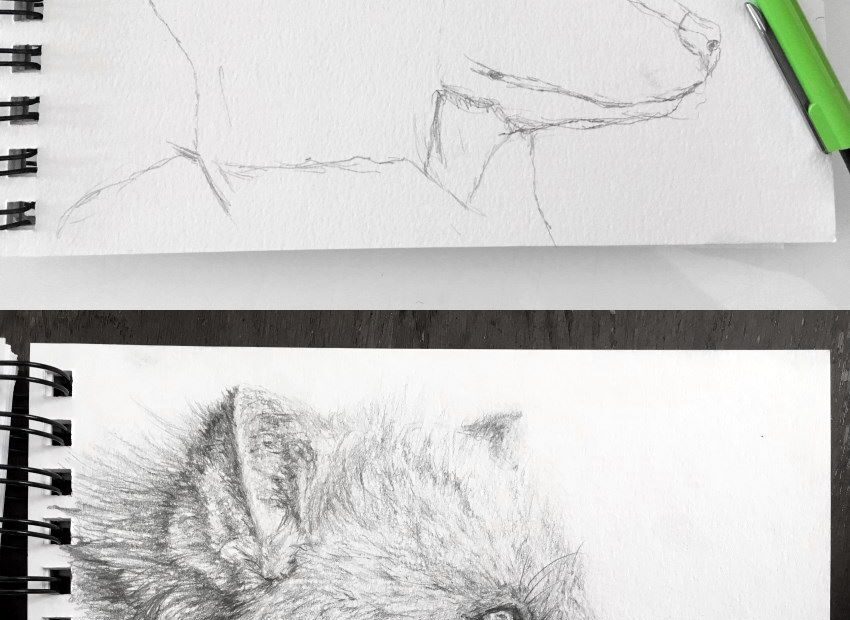 How To Draw With A Mechanical Pencil Ran Art Blog