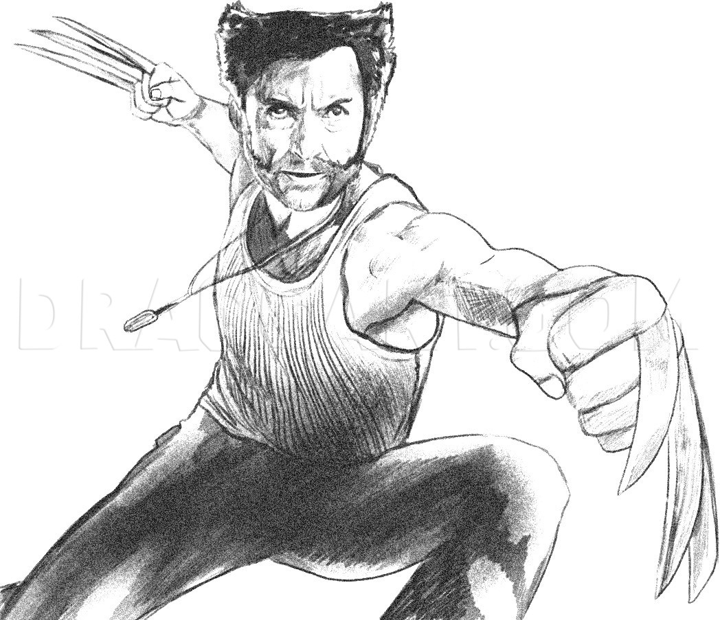 how to draw wolverine