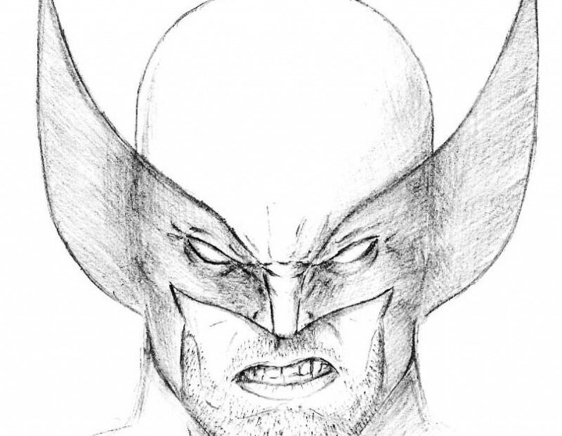 How To Draw Wolverine s Head