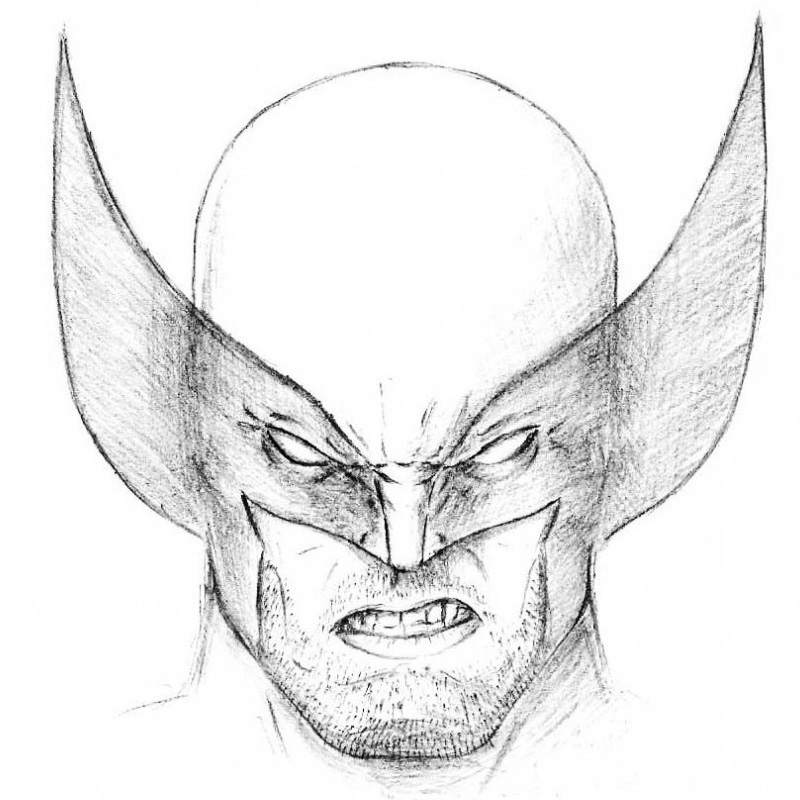 How To Draw Wolverine s Head