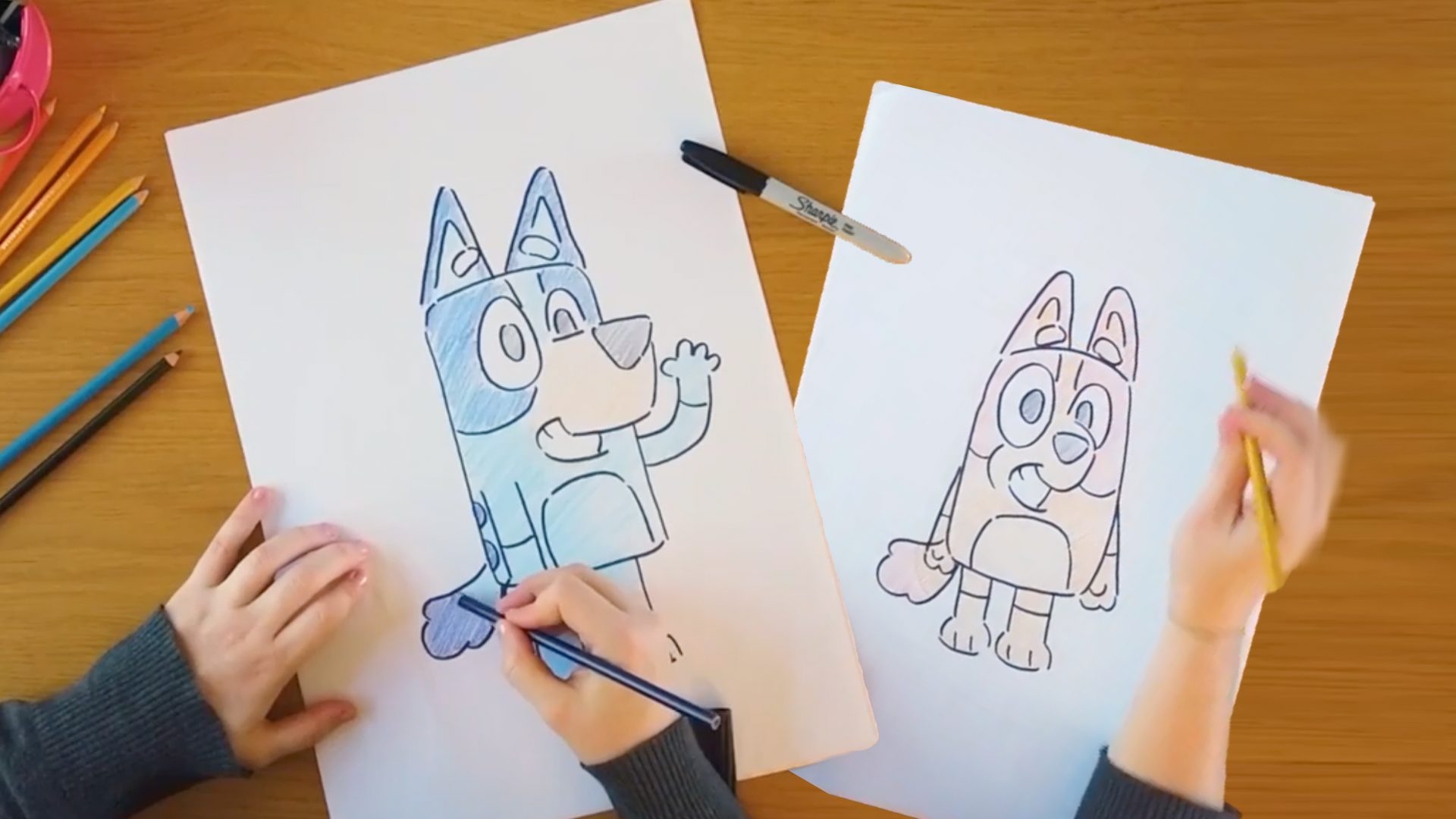 How To Draw Your Favourite Bluey Characters Bluey Official Website