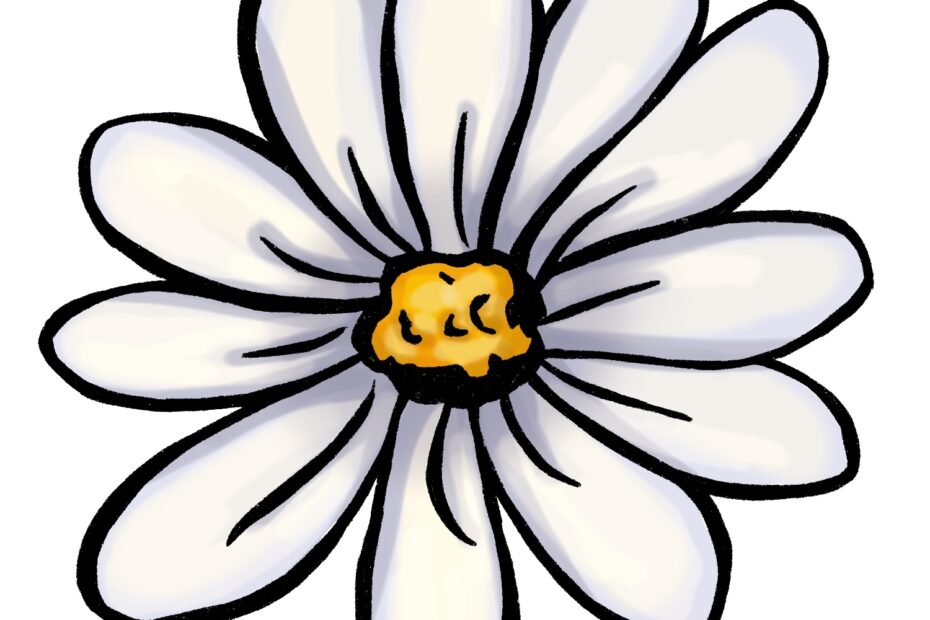 How To Make A Flower Drawing 5 Easy Steps The Graphics Fairy